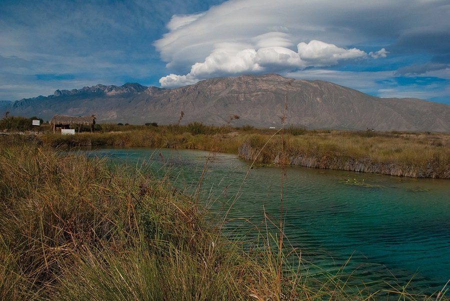 Cuatro Ciénegas Coahuila