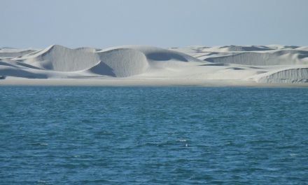 Guerrero Negro – Mulegé Baja California Sur