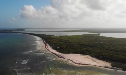 Reserva de la Biosfera de Sian Ka’an Quintana Roo