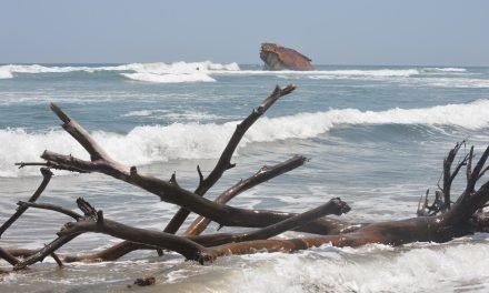 Playa Azúl Michoacán