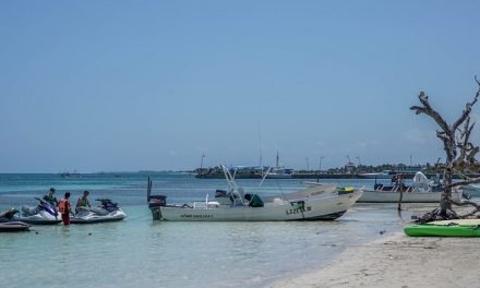 Cozumel Quintana Roo