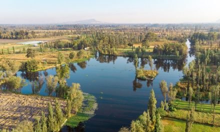 Alcaldia Xochimilco,Ciudad de México