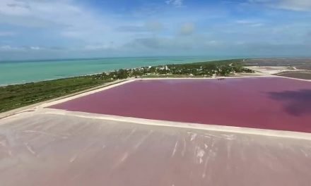 Las Coloradas, Yucatán