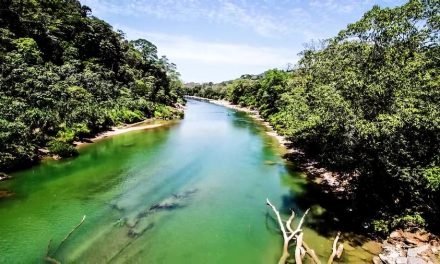 Pantano de Cetla, Tabasco