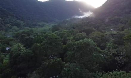 Reserva de la Biosfera LosTuxtlas, Veracruz